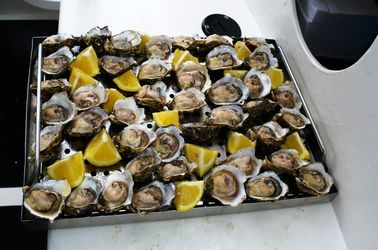 Les huîtres de Walvis Bay