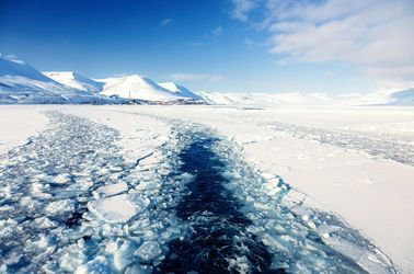 Les glaciers du Svalbard
