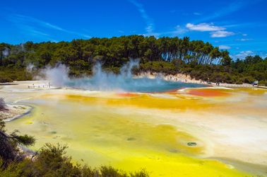 Sources géothermiques à Rotorua