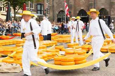 Marché au fromage d'Alkmaar