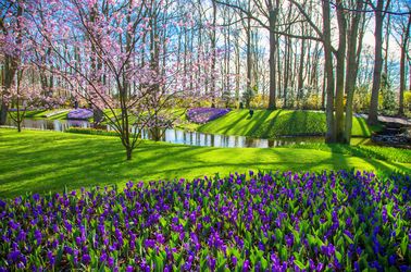 Le jardin de Keukenhof