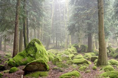 Parc national de Peneda-Gerês