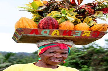 Fèves de cacao locales