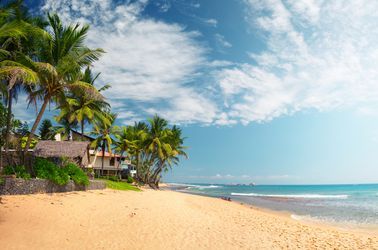 La plage d'Hikkaduwa 