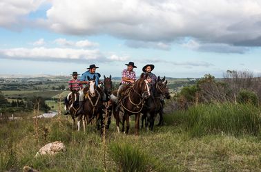 Gauchos dans la région de Minas