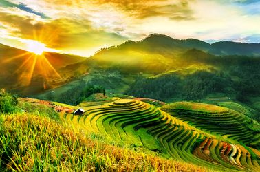 Les rizières de Mu Cang Chai