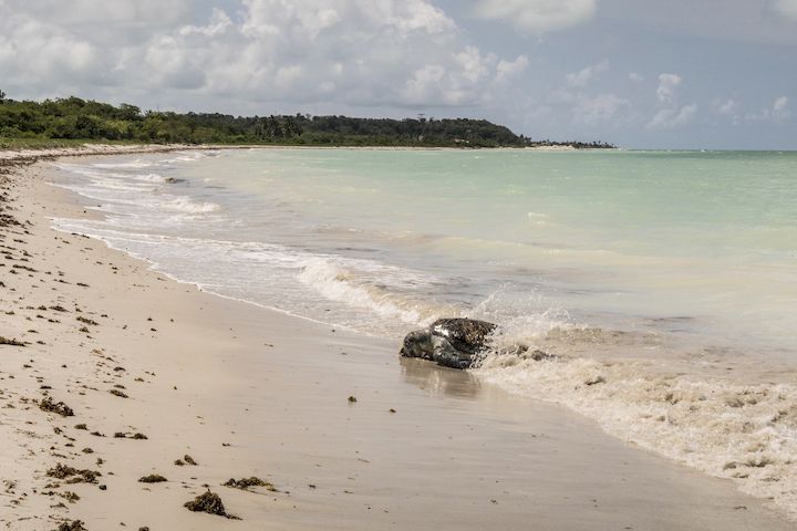 plage Ponta Preta beach, Sal island