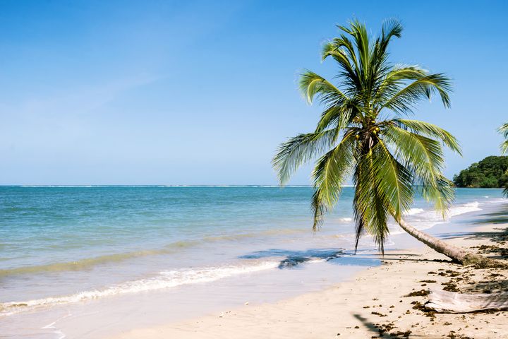 plage Beaches of Cahuita