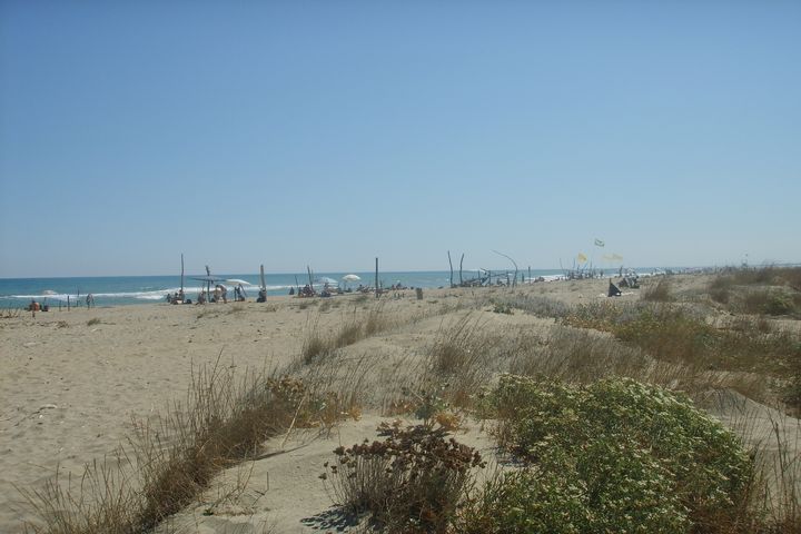 plage Beaches between Torre del Lago and Viarregio