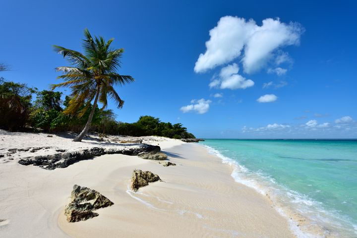 plage Playa Saona