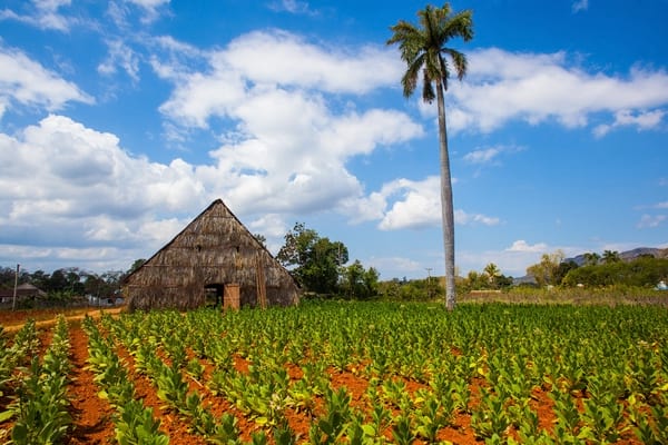 Western Cuba